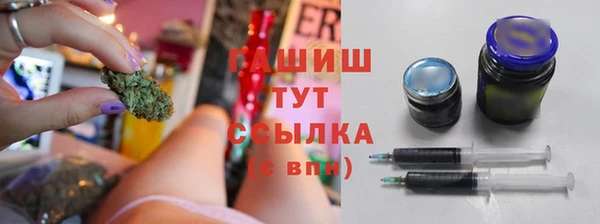 стаф Кулебаки